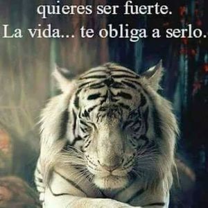 Meet your Posher, Gerardo